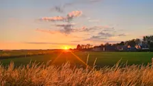 Zonsopkomst boven de Betuwe - Nely van Frankenhuyzen