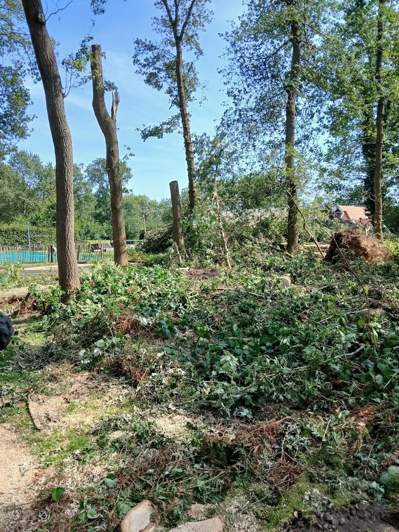 Boscamping Zwanemeer liep tijdens de passage van waarschijnlijk een windhoos grote schade op - Giada de Koning