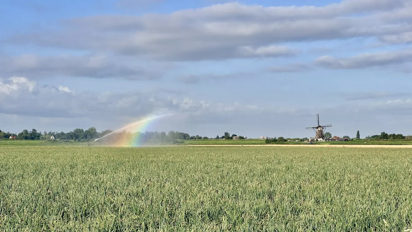 Sproeiers in het land bij Zevenhuizen - Jolanda Bakker