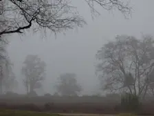 Mistig weer bij de start van de dag, vanochtend - Chris Meewis