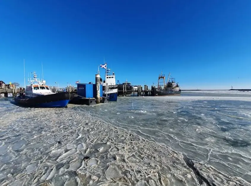 De Waddenzee vroor deels dicht - Reinout van den Born