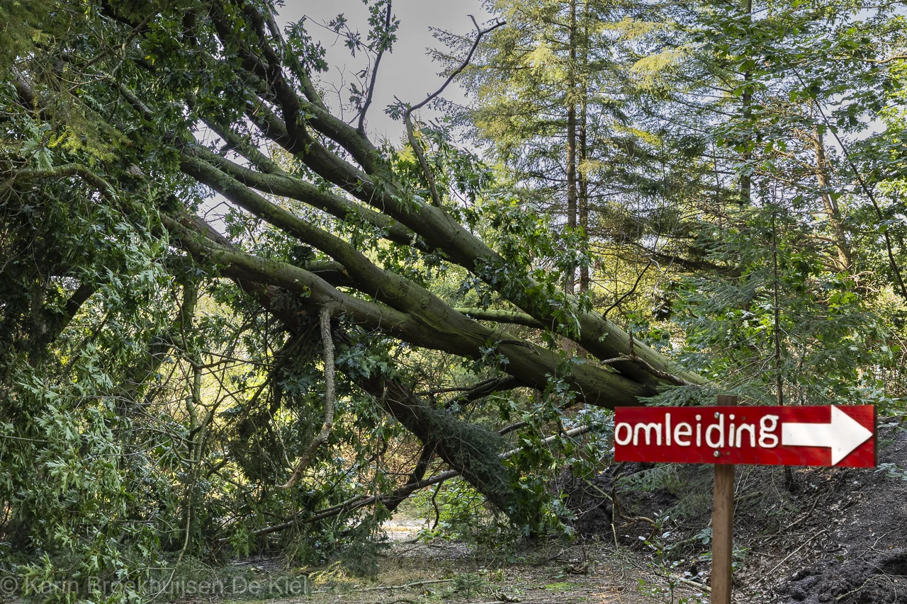 Bomen blokkeren een ATB-route, een inderhaast geplaatst bordje wijst een alternatieve route aan - Karin Broekhuijsen.