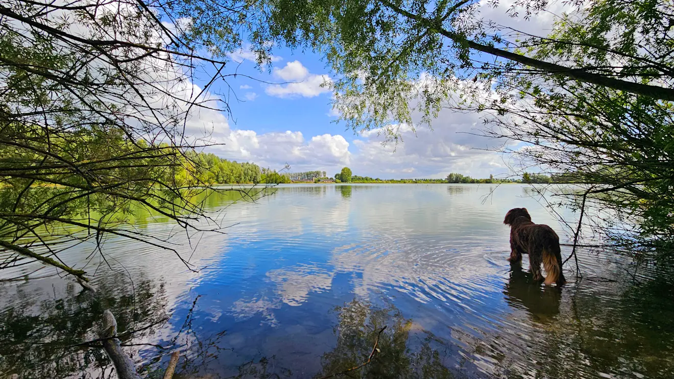 Genieten van het vriendelijke zomerweer - Nely van Frankenhuyzen