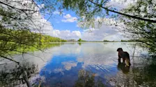Genieten van het vriendelijke zomerweer - Nely van Frankenhuyzen