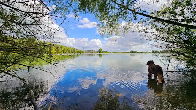 Genieten van het vriendelijke zomerweer - Nely van Frankenhuyzen