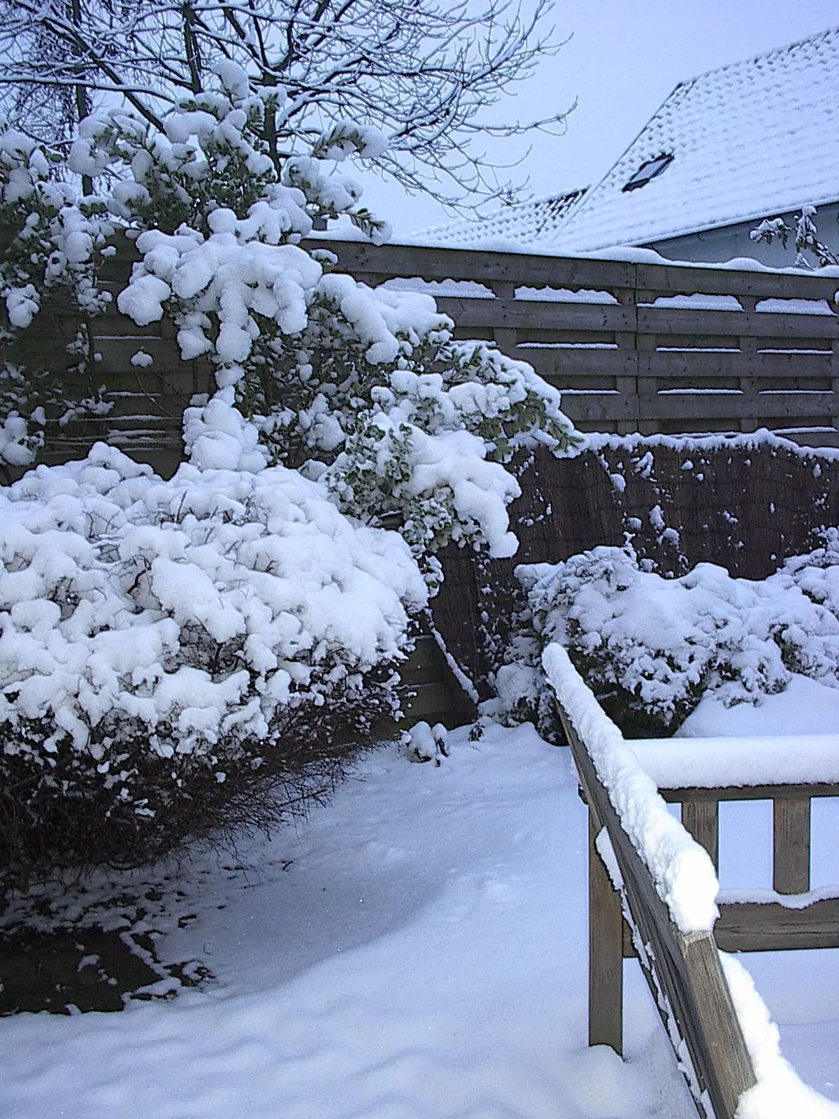 Onze tuin in Nijmegen na de sneeuwval - Reinout van den Born