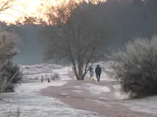 Een koude start van de dag op de heide bij Hilversum - Chris Meewis