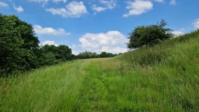 De Bruuk in Breedeweg - Reinout van den Born