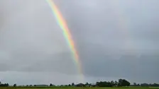 Jannes regenboog (2)