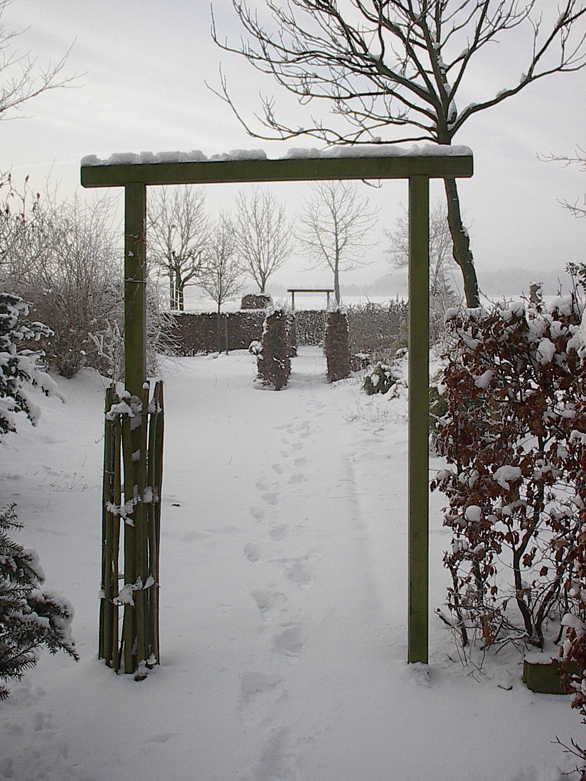 De sneeuw knerpte op een heel andere manier door de kou - Reinout van den Born