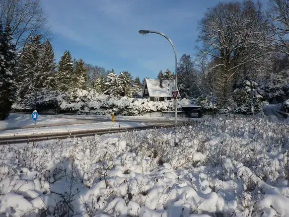 De laatste Witte kerst in Nederland was die van 2010 - Reinout van den Born