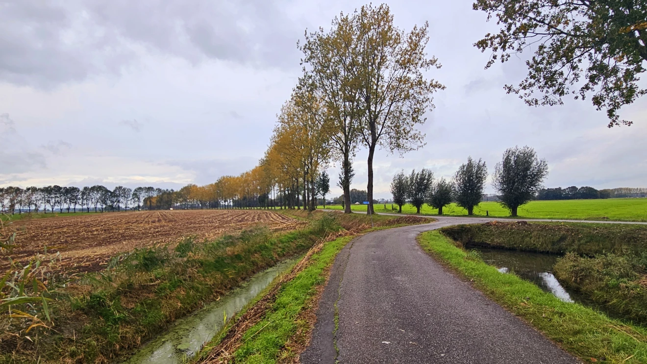 Op veel plaatsen is het vandaag bewolkt. In het zuidoosten gaat het ook regenen - Nely van Frankenhuyzen