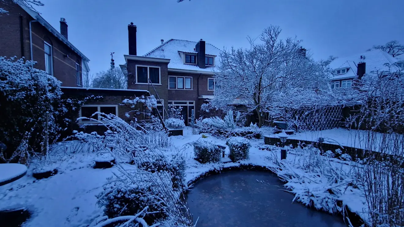 Nog een keer de tuin in de sneeuw - Reinout van den Born