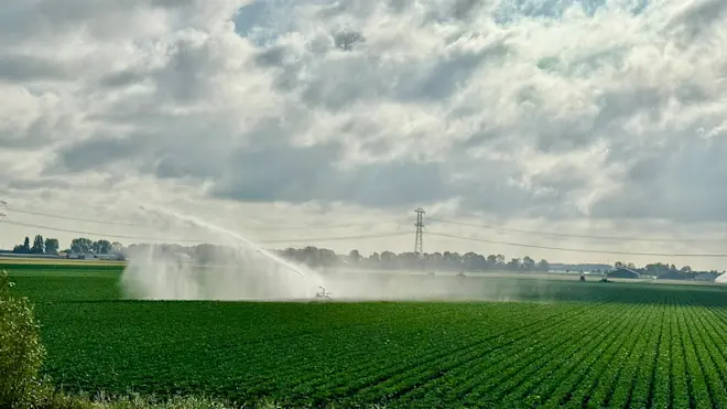 De velden worden op steeds meer plaatsen besproeid - Jolanda Bakker