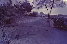 Met kerst 1978 wisten we het nog niet, maar al snel zou een winter met veel sneeuw volgen. De tuin in Garderen tijdens die winter - Peter van den Born