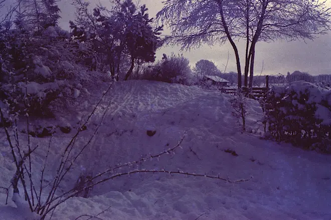 Met kerst 1978 wisten we het nog niet, maar al snel zou een winter met veel sneeuw volgen. De tuin in Garderen tijdens die winter - Peter van den Born