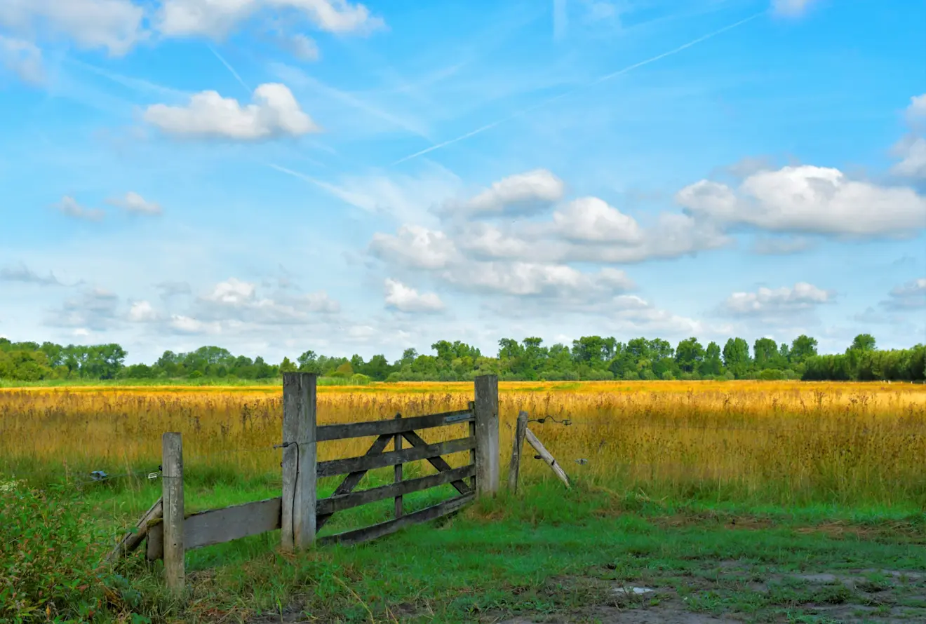 Een Hollandse wolkenlucht - Cynthia van Leusden