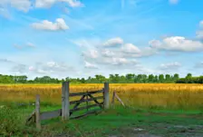 Een Hollandse wolkenlucht - Cynthia van Leusden