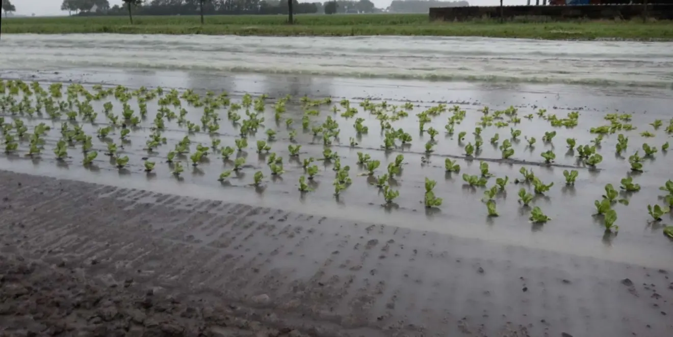 Ook Nederland had vrijdag op diverse plaatsen last van  Wateroverlast. Hier een ondergelopen perceel in de buurt van Roodeschool - Jannes Wiersema