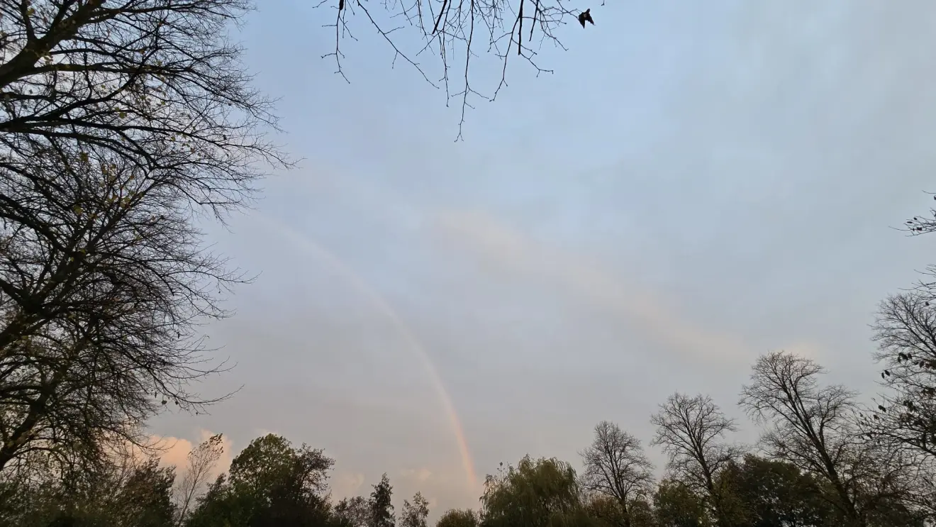 Bij Roodeschool was vanochtend in de lichte regen een regenboogje te zien - Jannes Wiersema