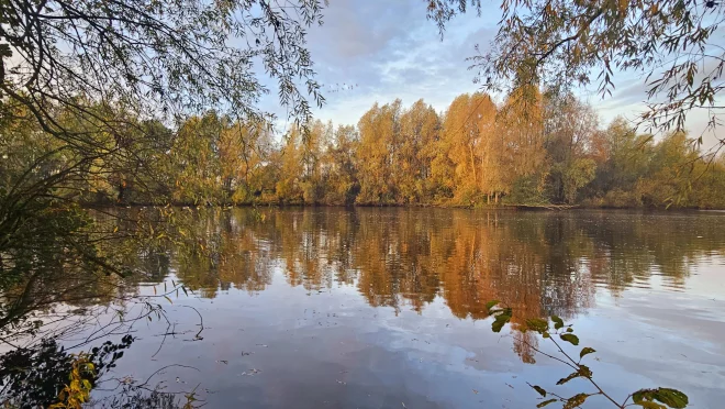 Herfst in de buurt van Beusichem - Nely van Frankenhuyzen