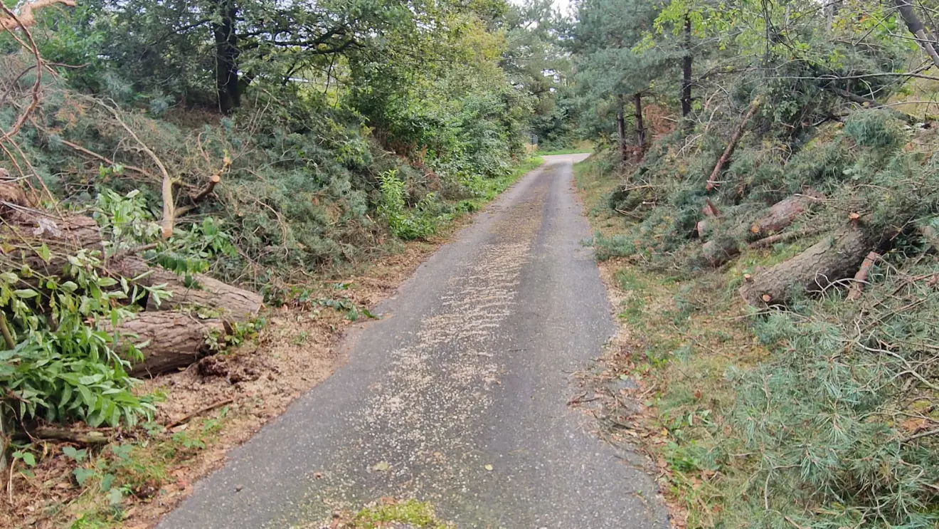 Langs een weggetje, dat naar de A50 leidt, blijken ook bomen te zijn omgewaaid. Ze zijn weggezaagd - Reinout van den Born