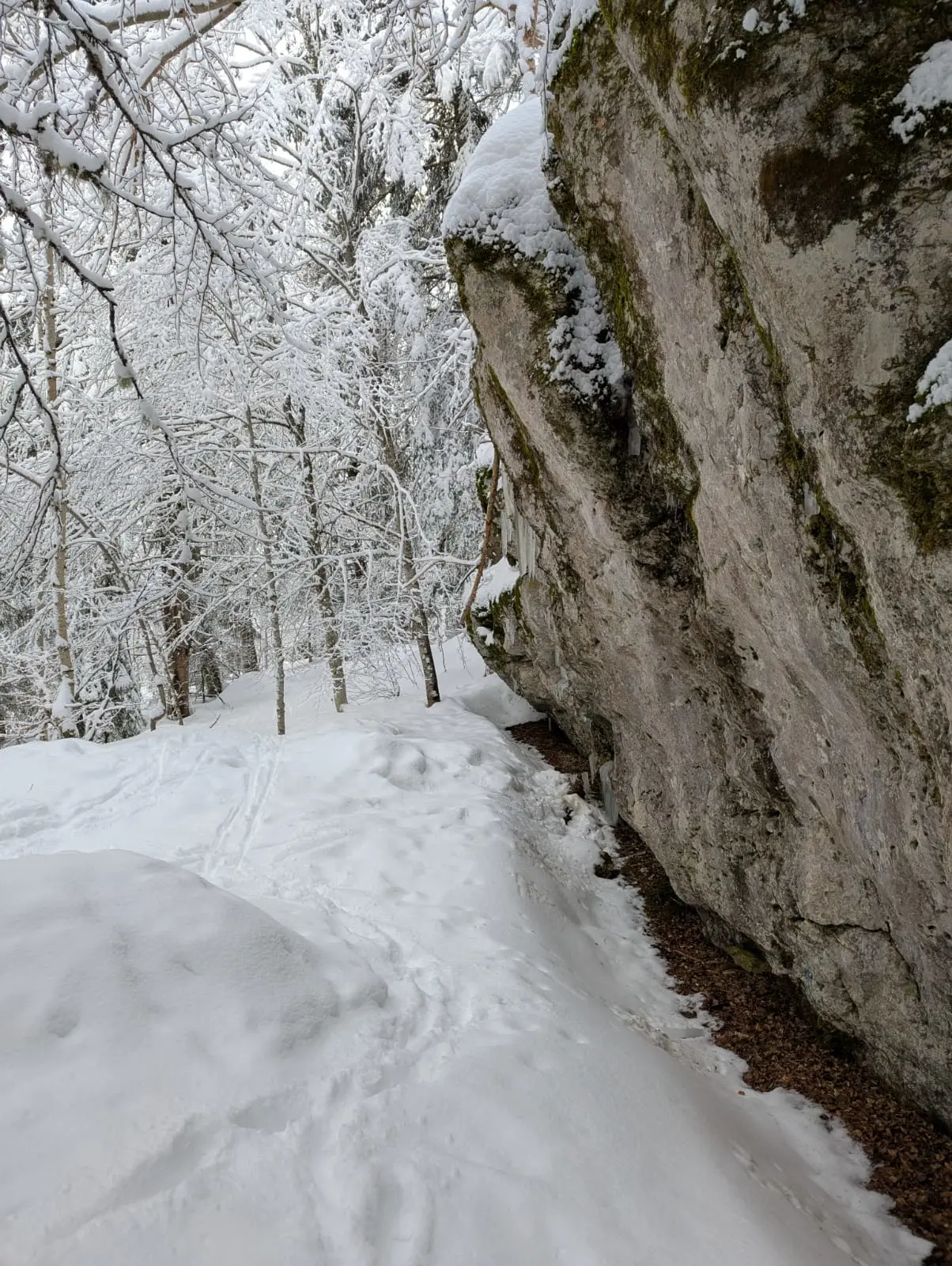 Winter in de Alpen bij Grenoble - Writsaert van den Born