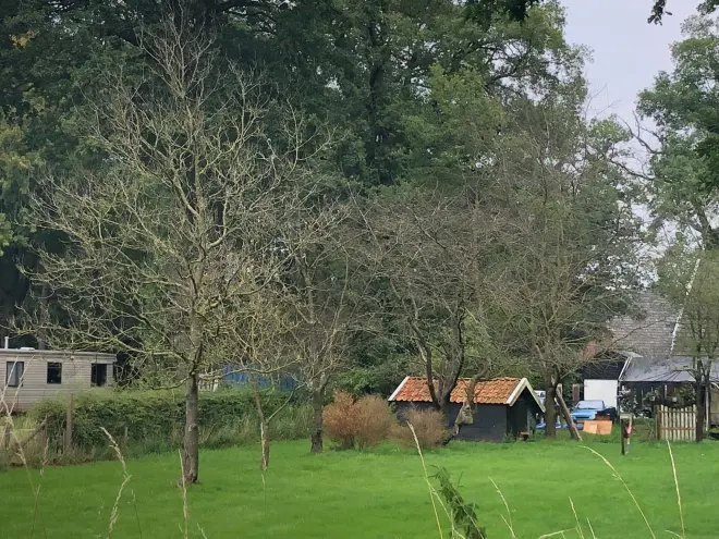 Fruitbomen zonder blad in Haaksbergen - Erwin Lankheet