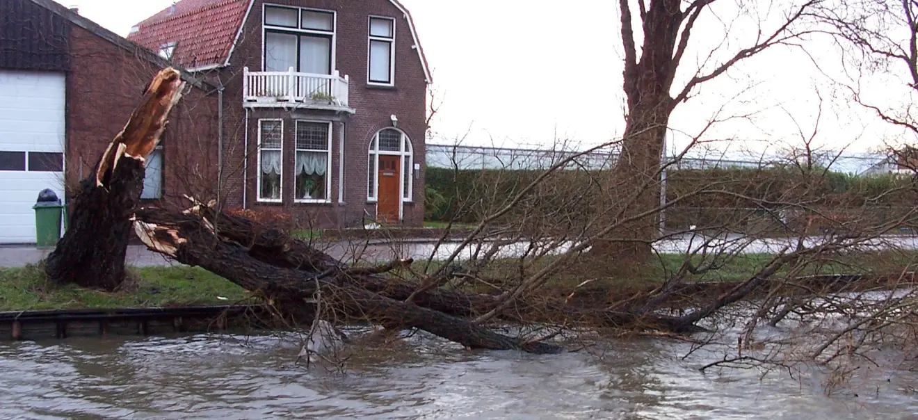 Stormschade in de buurt van Delft - Steven Lek