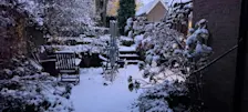Onze tuin in Velp, vrijdagochtend. Niet eerder in de afgelopen 2,5 jaar hadden we zoveel sneeuw in de tuin - Grieta Spannenburg