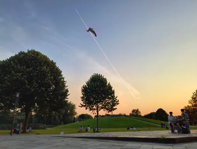 Een mooie zomeravond in het Griftpark in Utrecht - Gerrit Hogeweg