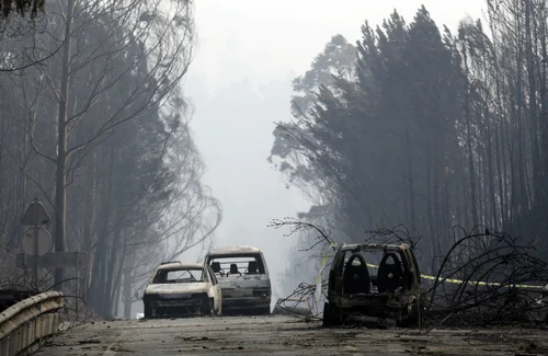 Incêndio florestal de Pedrógão Grande em 2017