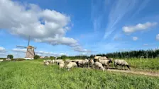In Nederland zijn we weer in de fase van de Hollandse wolkenluchten beland _ Jolanda Bakker