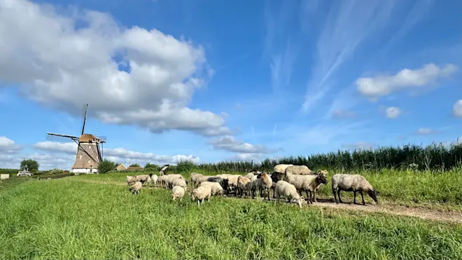 In Nederland zijn we weer in de fase van de Hollandse wolkenluchten beland _ Jolanda Bakker