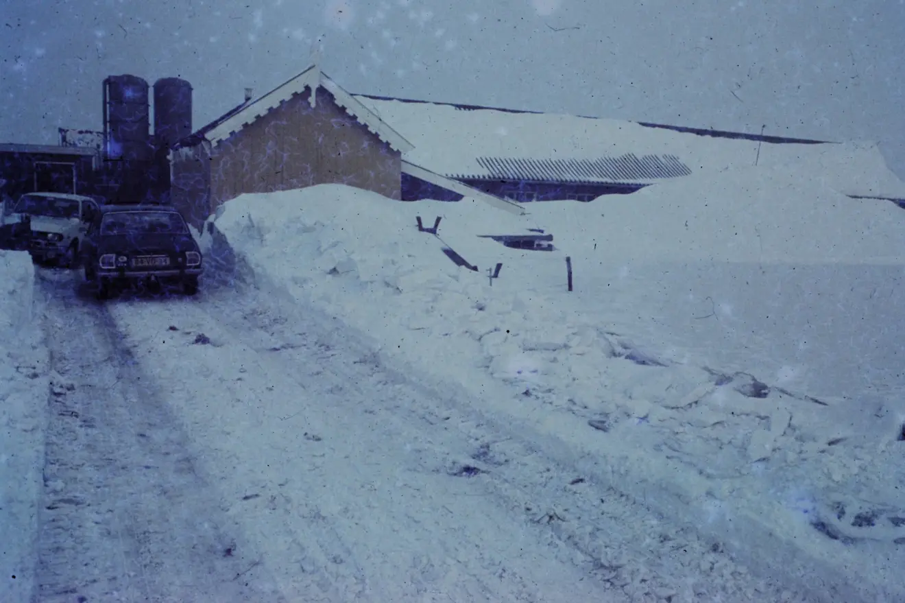 Sneeuwduinen tegen een stal in Friesland - Peter van den Born