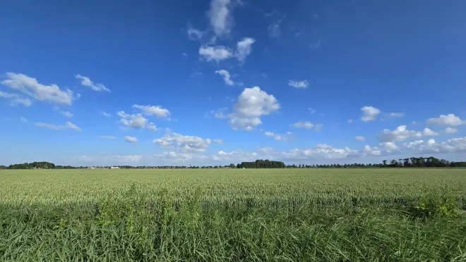 Heldere blauwe luchten in Noordoost-Groningen - Jannes Wiersema