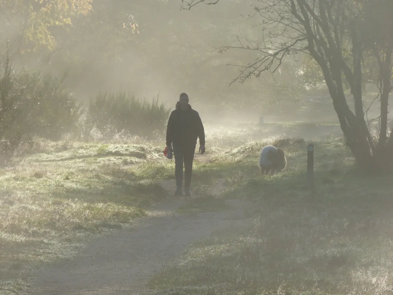 Er mag dan een periode met saai herfstweer op komst zijn, vanochtend was het op de Hilversumse heide nog echt wel genieten - Chris Meewis.