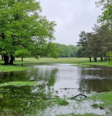 Water in het land door hevioge regenval