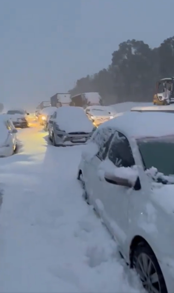 Sneeuw heeft in de Zuid-Afrikaanse provincie Kwazoeloe-Natal voor grote chaos gezorgd - Still uit video