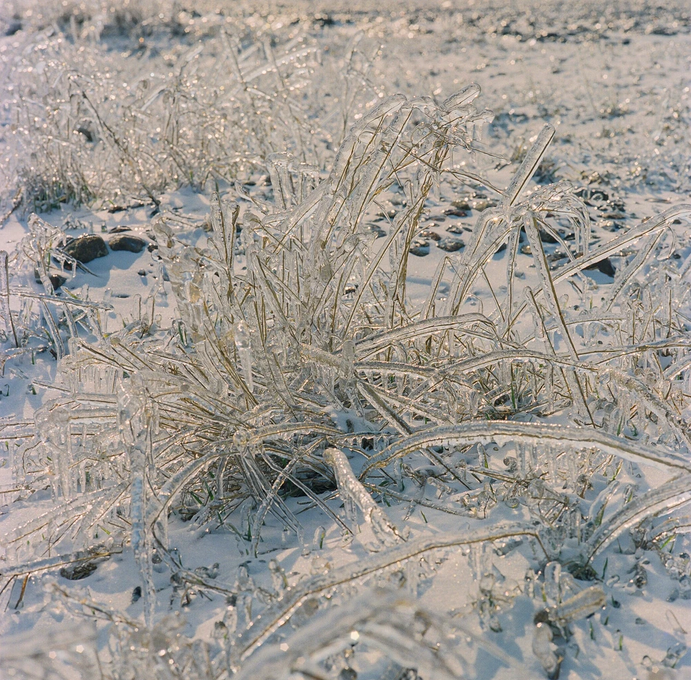 Een glazen landschap - Karin Broekhuijsen