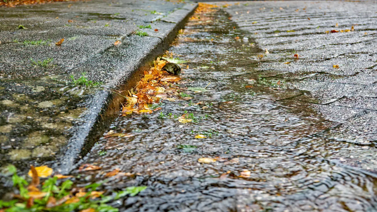 Water en blad vielen met bakken tegelijk op de grond - Simone Genna