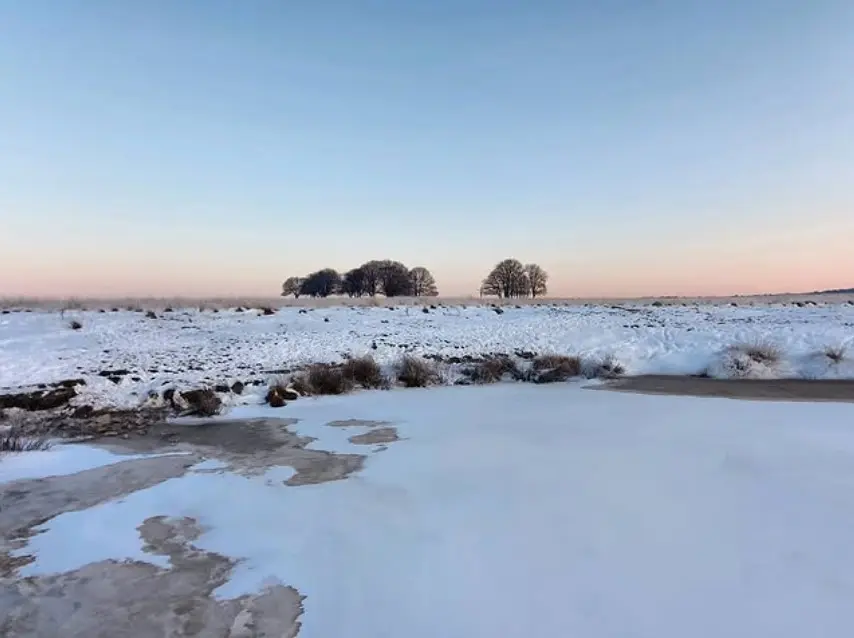 Sneeuw en ijs in februari 2021 - Reinout van den Born