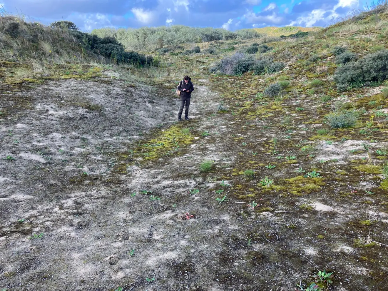 Een duinpan bij De Panne die ongeschikt was - Pieter Bliek