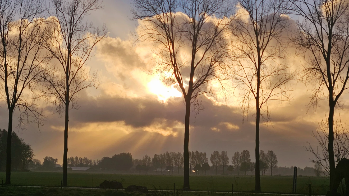 Fraaie zonsopkomst - Nely van Frankenhuyzen.