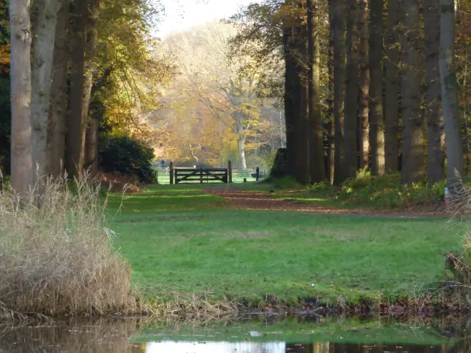 Heel af en toe is er ook vandaag nog wel een gaatje voor de zon - Chris Meewis