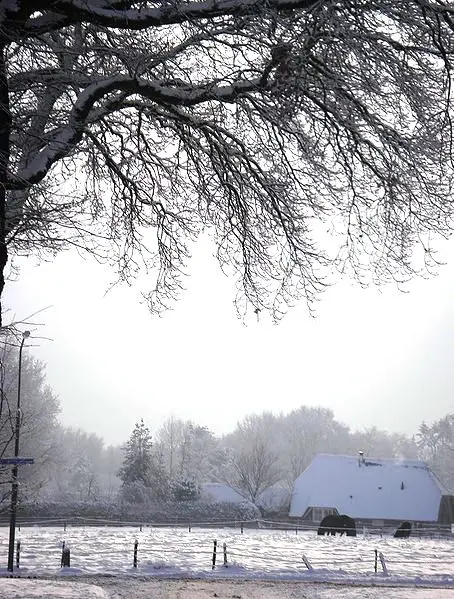 Winter in Wapenveld - Koos G.