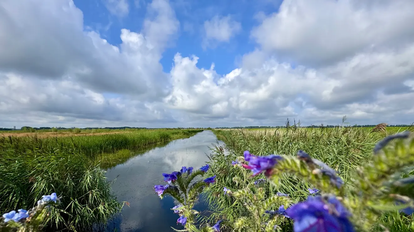 Vanaf zondag gaan we in Nederland een langere periode met zomerweer in - Jolanda Bakker