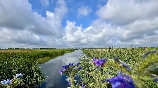 Vanaf zondag gaan we in Nederland een langere periode met zomerweer in - Jolanda Bakker