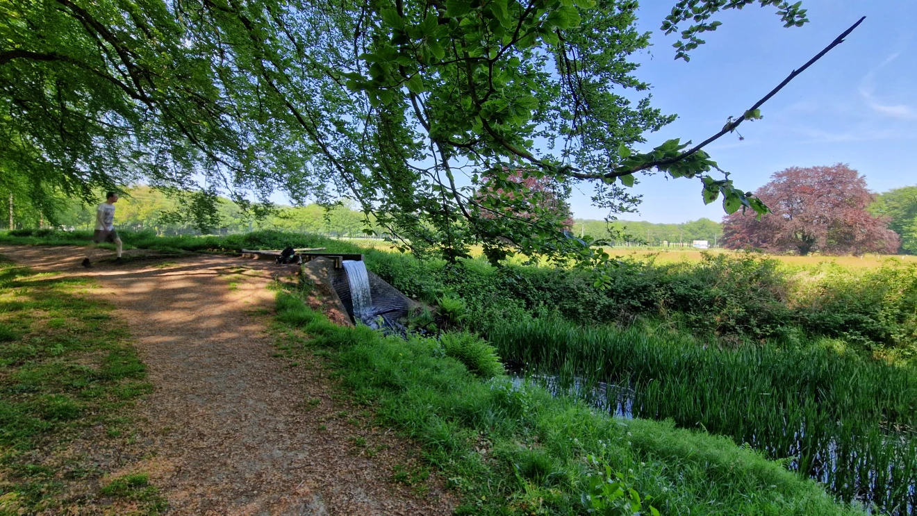 De Beekhuizerbeek bij Velp. Er staat flink wat water in.  Foto: Reinout van den Born.