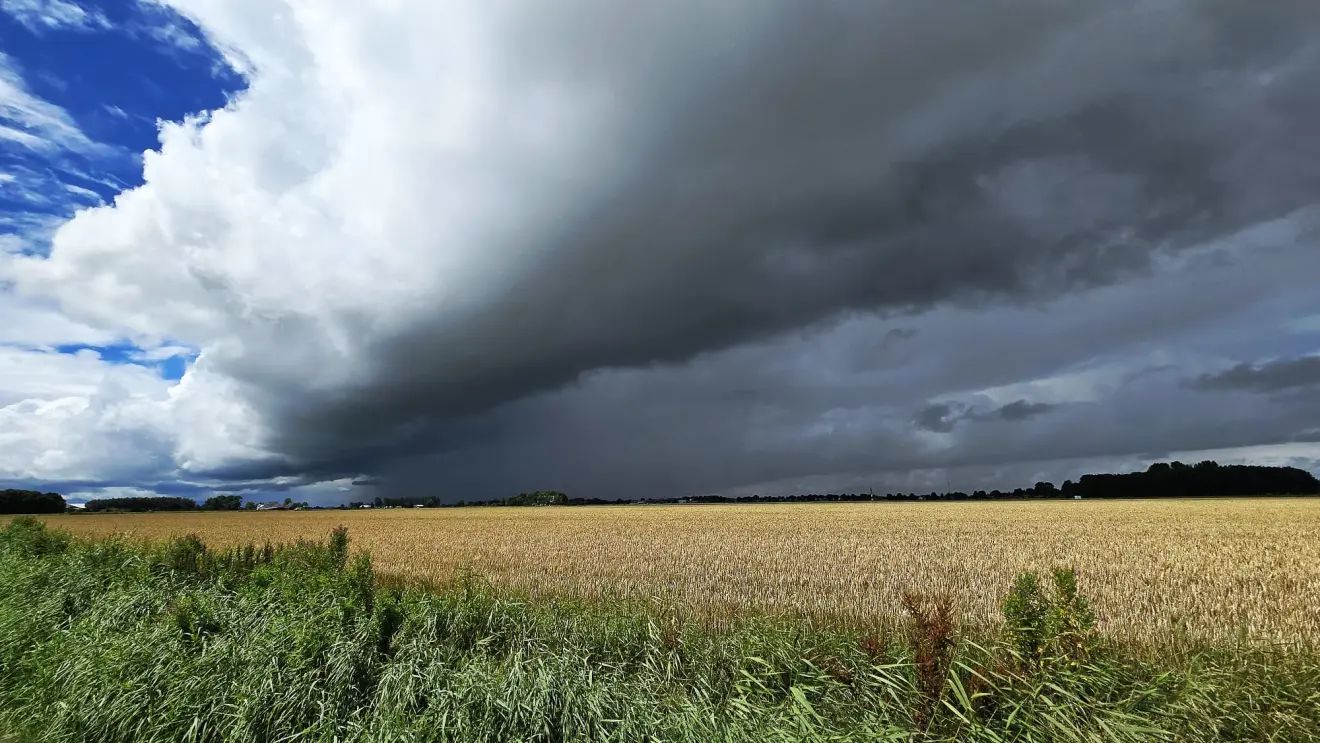 Een dikke bui boven het Groningse land - Jannes Wiersema